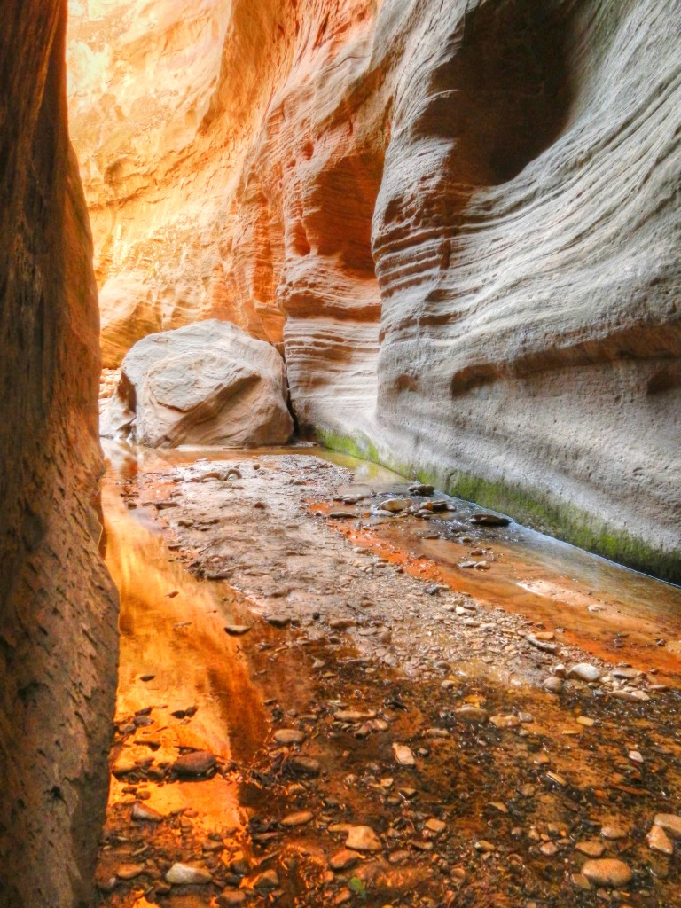 Zion National park is one of the most visited parks in the national